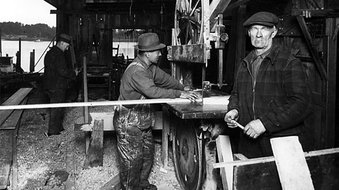 The 200-Year-Old Tool That Changed Timber Forever