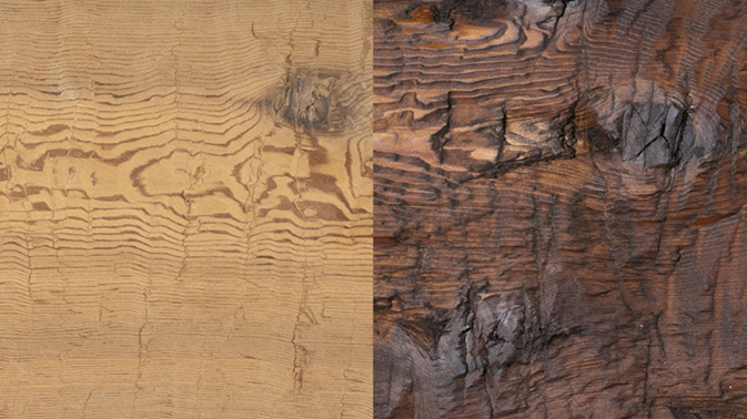 On Pine Tar and Preservation