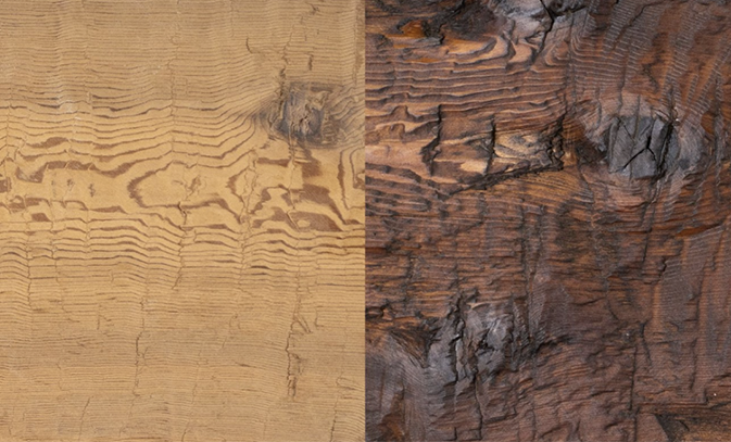 On Pine Tar and Preservation